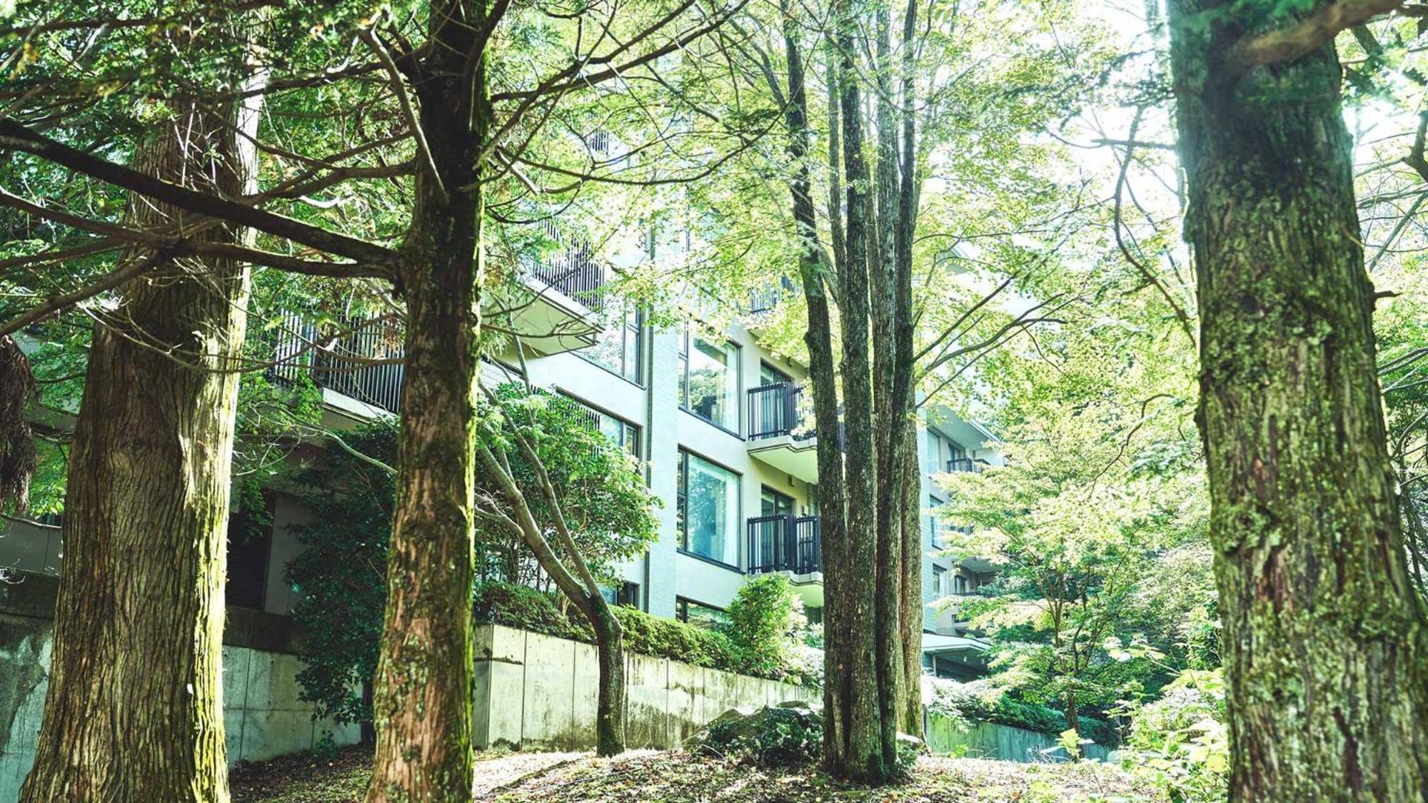 Tokyu Vacations Hakone Gora Hotel Luaran gambar